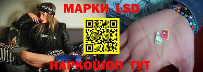прущие грибы Краснокаменск