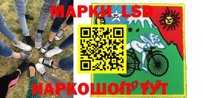 прущие грибы Краснокаменск