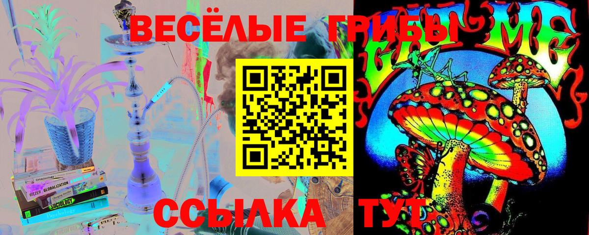 дарнет шоп  Псилоцибиновые грибы Cubensis  Армавир  Вход с VPN  Псилоцибиновые грибы Cubensis 